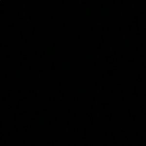 Meet your Posher, Gavin